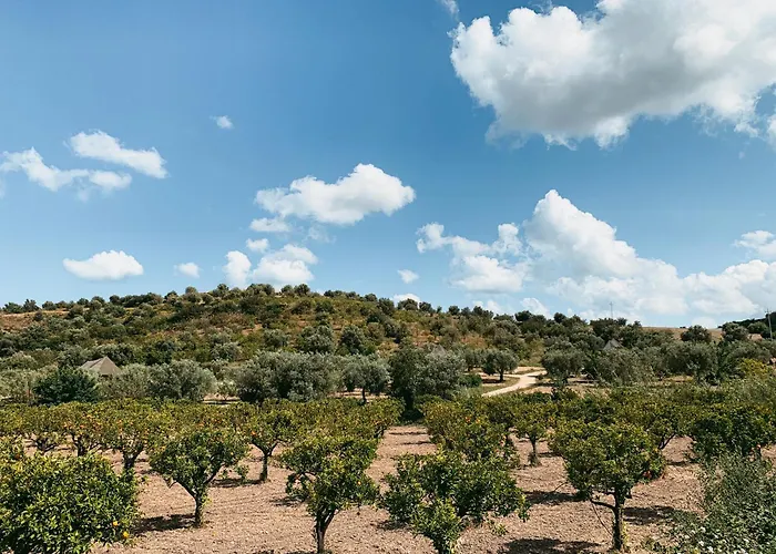 Iuta Farm