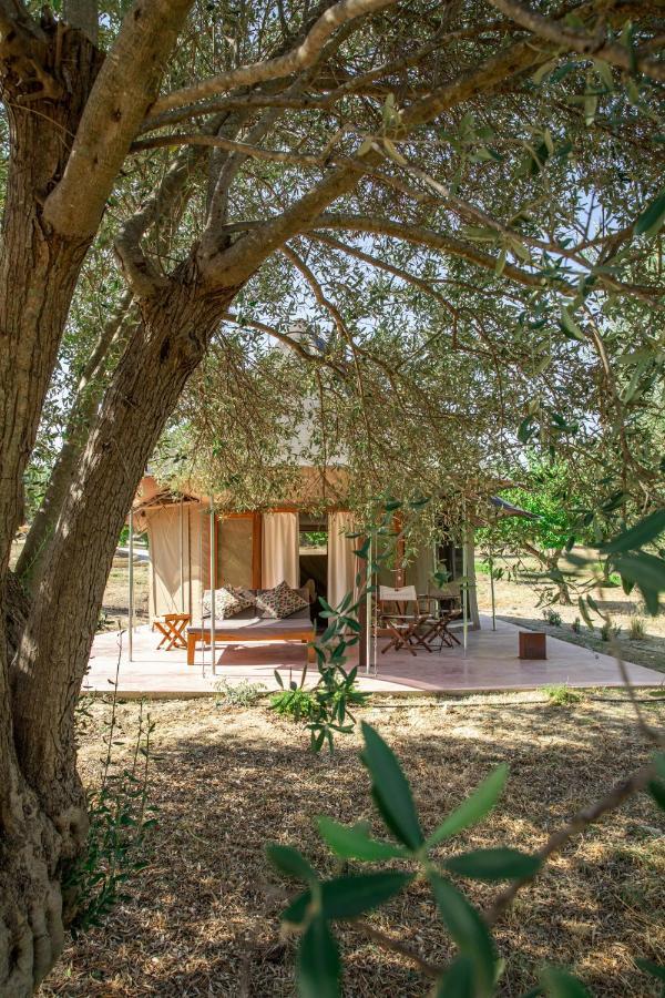 Lodge Iuta Farm Noto